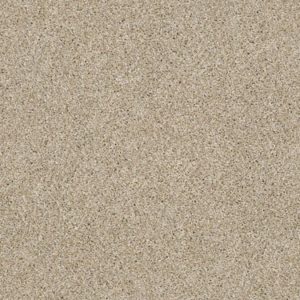 SHAW FLOORS RETAIL: LUMINOUS