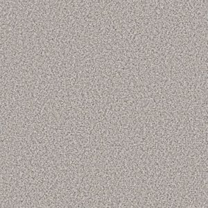 SHAW FLOORS RETAIL: ELEMENTAL MIX I