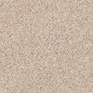 SHAW FLOORS RETAIL: ELEMENTAL MIX II