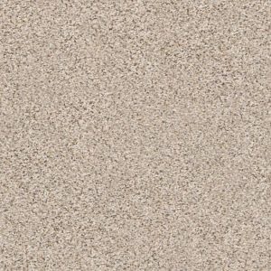 SHAW FLOORS RETAIL: ELEMENTAL MIX III