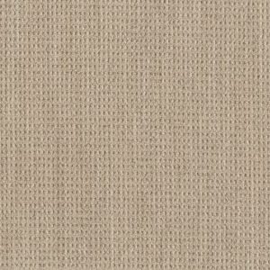 SHAW FLOORS RETAIL: NATURAL BOUCLE 15