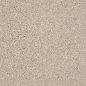 SHAW FLOORS RETAIL: BASIC RULES
