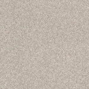 SHAW FLOORS RETAIL: JUST A HINT I