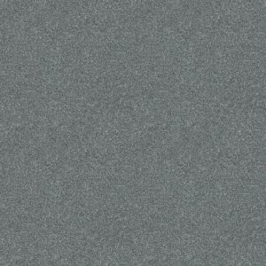 SHAW FLOORS RETAIL: JUST A HINT II