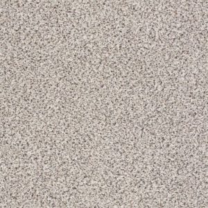 SHAW FLOORS NET: PLATINUM TEXTURE ACCENTS NET