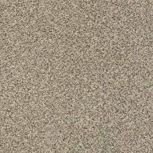 SHAW FLOORS RETAIL: PERPETUAL II