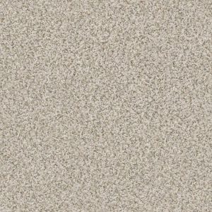SHAW FLOORS RETAIL: MAKE IT WORK