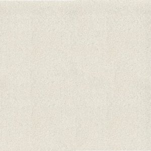 SHAW FLOORS RETAIL: ALWAYS READY I