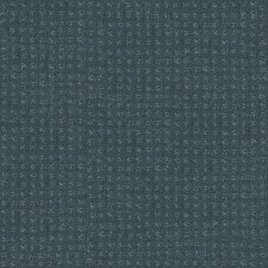 SHAW FLOORS RETAIL: ALLURING DISPOSITION