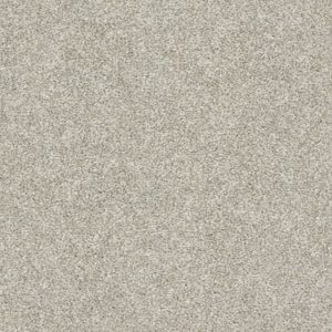 SHAW FLOORS RETAIL: ALL OVER IT I