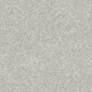 SHAW FLOORS RETAIL: ALL OVER IT II
