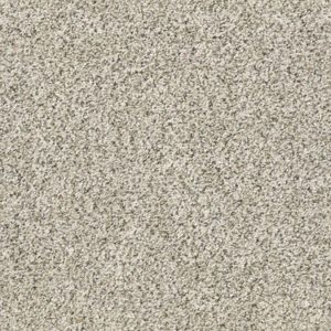 SHAW FLOORS RETAIL: ALL SET I