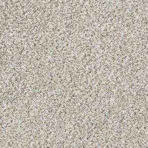 SHAW FLOORS RETAIL: ALL SET II