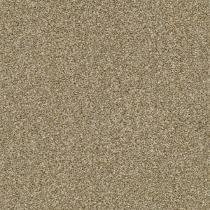SHAW FLOORS RETAIL: CABANA LIFE (T)