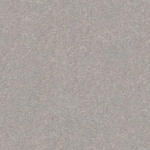 SHAW FLOORS RETAIL: MOMENTUM I