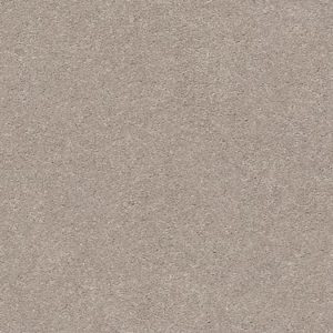 SHAW FLOORS RETAIL: MOMENTUM II