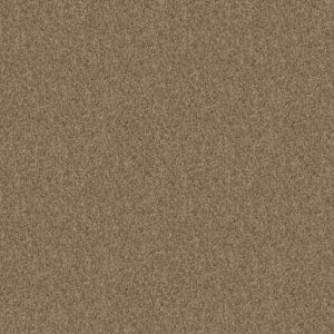 SHAW FLOORS VALUE: BRIDGEWOOD