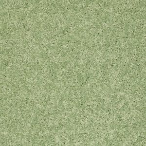 SHAW FLOORS VALUE: KIDS RULE