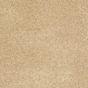 SHAW FLOORS VALUE: LOYAL BEAUTY I