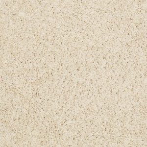 SHAW FLOORS VALUE: LOYAL BEAUTY II