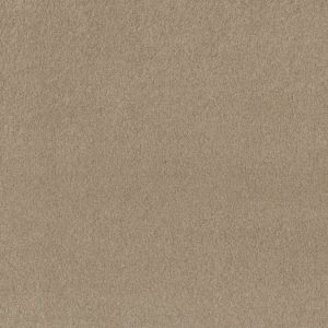 SHAW FLOORS VALUE: LOYAL BEAUTY III