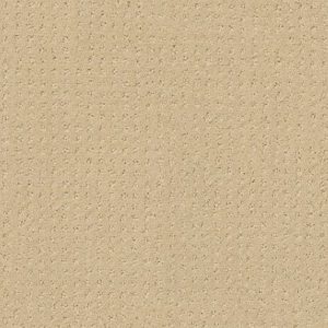 SHAW FLOORS VALUE: LOYAL BEAUTY PATTERN
