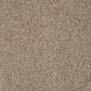 SHAW FLOORS VALUE: FUNDAMENTALS (A)