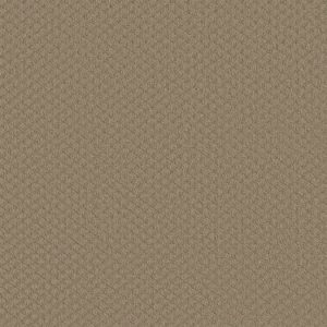 SHAW FLOORS VALUE: EXCEL
