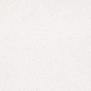 SHAW FLOORS RETAIL: SHINGLE CREEK I 12