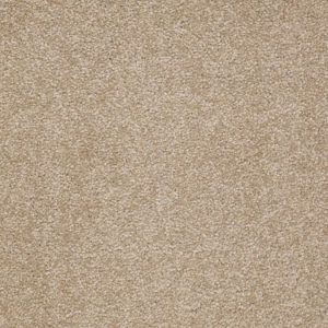 SHAW FLOORS RETAIL: SHINGLE CREEK III 15'