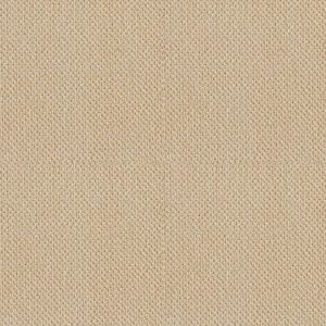 SHAW FLOORS VALUE: ARTIST VIEW LOOP