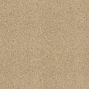 SHAW FLOORS RETAIL: GOLD TWIST