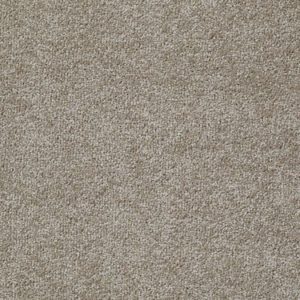 SHAW FLOORS VALUE: JEALOUSY