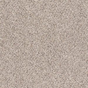 SHAW FLOORS RETAIL: PLATINUM TEXTURE ACCENTS
