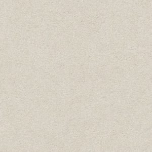 SHAW FLOORS RETAIL: FIND YOUR COMFORT NS BLUE