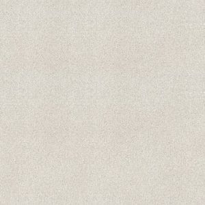 SHAW FLOORS RETAIL: FIND YOUR COMFORT TT I