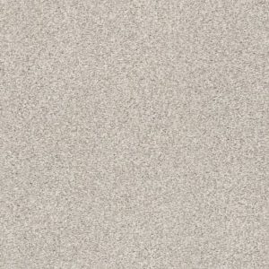 SHAW FLOORS RETAIL: FIND YOUR COMFORT TT II