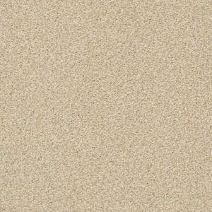 SHAW FLOORS RETAIL: FIND YOUR COMFORT TT BLUE