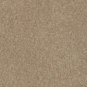 SHAW FLOORS RETAIL: FIND YOUR COMFORT TT BLUE