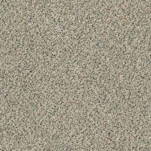 SHAW FLOORS RETAIL: FIND YOUR COMFORT TA I