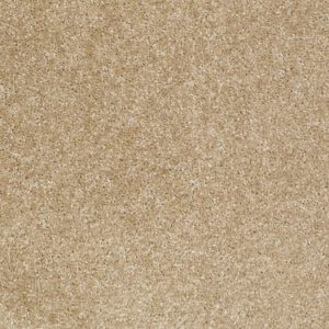 SHAW FLOORS RETAIL: CENTEX