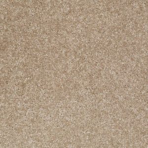SHAW FLOORS RETAIL: RESOLUTION