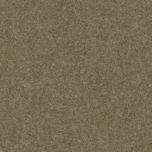 SHAW FLOORS VALUE: ZIPP