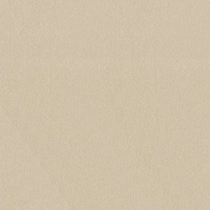 SHAW FLOORS RETAIL: SANDY HOLLOW III 12'