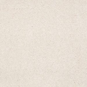 SHAW FLOORS RETAIL: SANDY HOLLOW III 15'