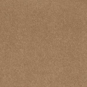 SHAW FLOORS RETAIL: GREAT EFFECT I 12'