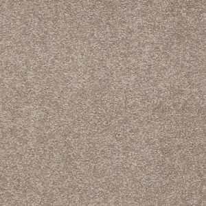 SHAW FLOORS RETAIL: GREAT EFFECT I 15'