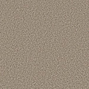 SHAW FLOORS NET: QS850