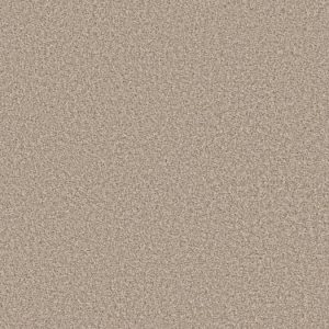 SHAW FLOORS VALUE: CORAL BEACH I