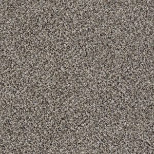 SHAW FLOORS VALUE: CORAL BEACH II